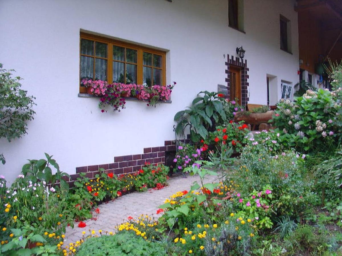 Geigerbauernhof Apartment Muehlenbach Ngoại thất bức ảnh